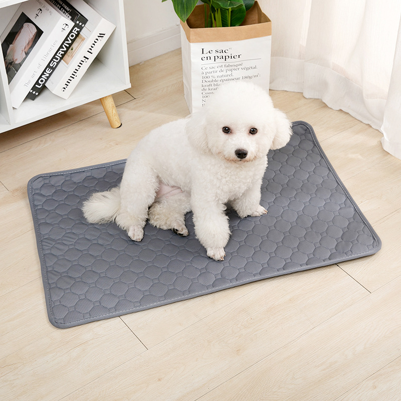 Manta Reutilizable para Orina  - Mattress Protector Waterproof reseña y precio